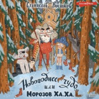 . Новогоднее чудо, или Морозов Ха. Ха.