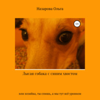 . Лысая собака с синим хвостом, или хозяйка, ты спишь, а мы тут всё уронили!
