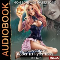 . Мои большие файерболы. Книга 2. Побег из нубятника