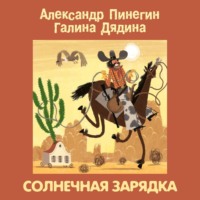Александр Пинегин. Солнечная зарядка