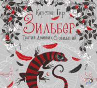 . Зильбер. Третий дневник сновидений