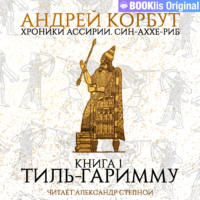 . Книга 1. Тиль Гаримму