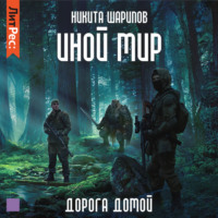 Никита Шарипов. Иной мир. Дорога домой