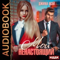 . Мой ненастоящий