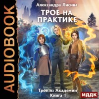 . Трое на практике