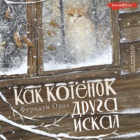 Феридун Орал. Как котёнок друга искал