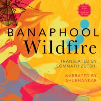 . Wildfire - And Other Stories (Unabridged)