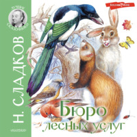 . Бюро лесных услуг