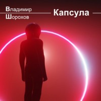 Владимир Леонидович Шорохов. Капсула