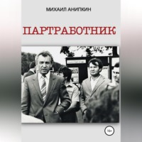 Михаил Александрович Анипкин. Партработник