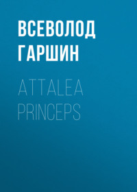 . Attalea princeps