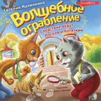. Волшебное ограбление. Следствие ведут Носков и Котяткин