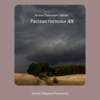 . Рассказ госпожи NN