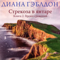 . Стрекоза в янтаре. Книга 2. Время сражений