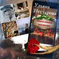 . Новогодний ноктюрн