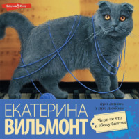. Черт-те что и сбоку бантик