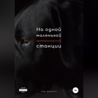 . На одной маленькой ветеринарной станции
