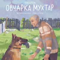 . Овчарка Мухтар. Четвероногий спаситель