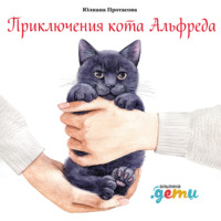 . Приключения кота Альфреда