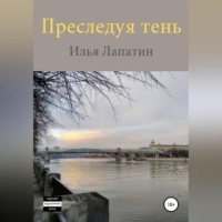 . Преследуя тень