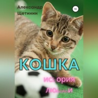 . Кошка. История любви