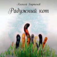 . Радужный кот