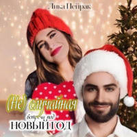 . (Не) случайная встреча под Новый год
