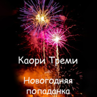 . Новогодняя попаданка