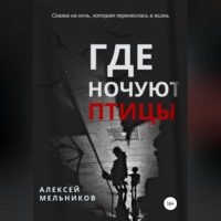 . Где ночуют птицы