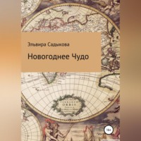 Эльвира Альфредовна Садыкова. Новогоднее чудо