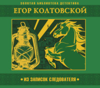 . Из записок следователя