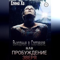 . Выходные в Сортавале, или Пробуждение зверя