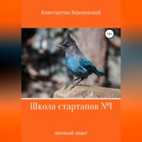 Константин Константинович Берлинский. Школа стартапов №1: Личный опыт
