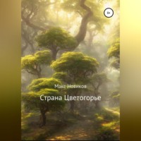 Макс Новиков. Страна Цветогорье