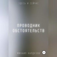 . Проводник обстоятельств. Здесь и сейчас