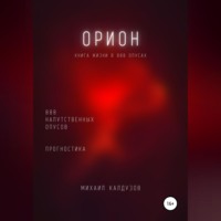 . Орион. Книга жизни. Для всех идущих. 888 напутственных опусов. Прогностика