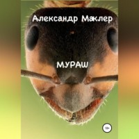 . Мураш