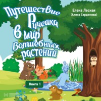 Елена Лесная (Алина Сердюкова). Путешествие Ручейка в мир волшебных растений. Книга 1