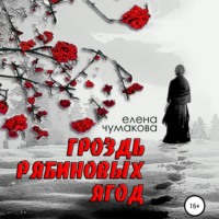 . Гроздь рябиновых ягод