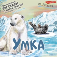 . Умка