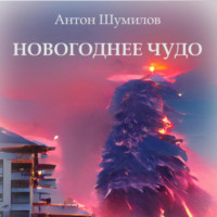 . Новогоднее чудо