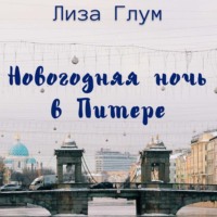 . Новогодняя ночь в Питере