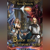 . Книга 1. Выбор пути, по которому идти…