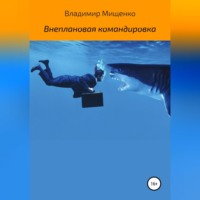 Владимир Мищенко. Внеплановая командировка