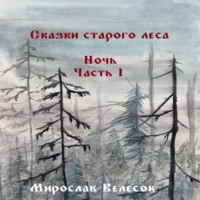 . Сказки старого леса. Ночь. Часть 1