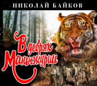 . В дебрях Маньчжурии