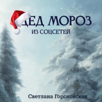 . Дед Мороз из соцсетей
