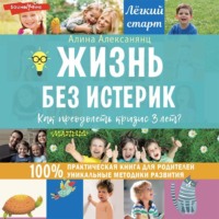 . Жизнь без истерик. Как преодолеть кризис 3 лет?