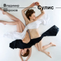 Владимир Леонидович Шорохов. Сулис