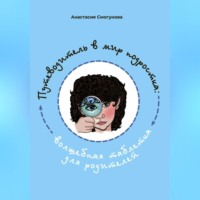 Анастасия Александровна Смогунова. Путешествие в мир подростка:волшебная таблетка для родителей